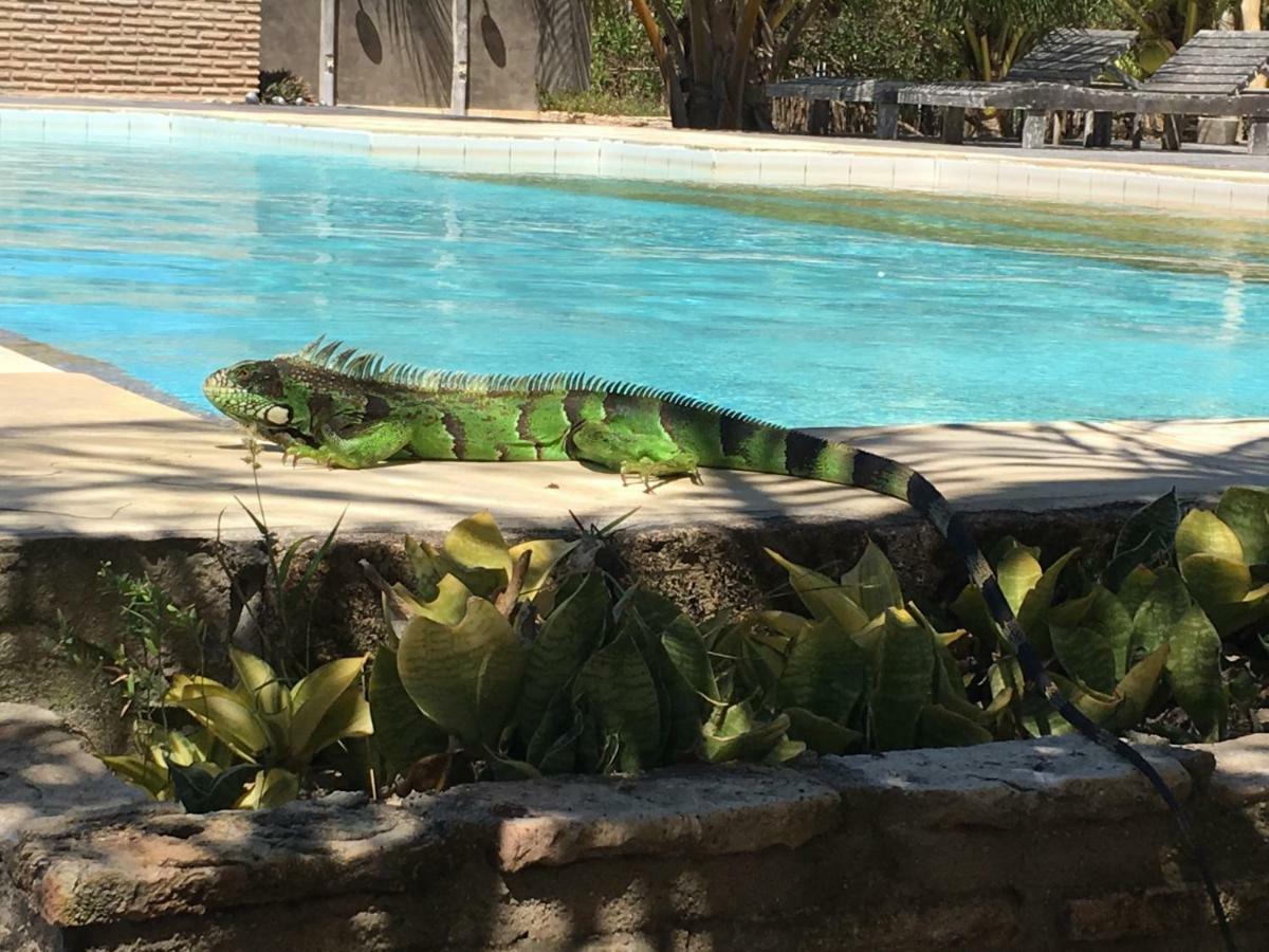 Casa Caicara Villas De Praia Cruz  ภายนอก รูปภาพ